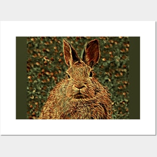 Cottontail Bunny 1-C Posters and Art